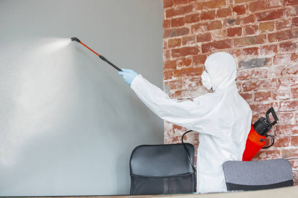 Best Comprehensive Air Testing for Mold Contaminants  in Bend, OR