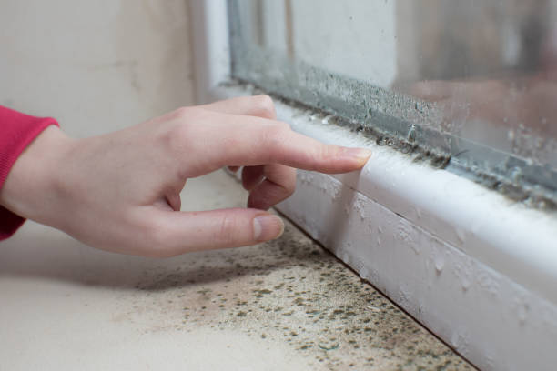 Best Asbestos and Lead Testing During Mold Inspection  in Bend, OR