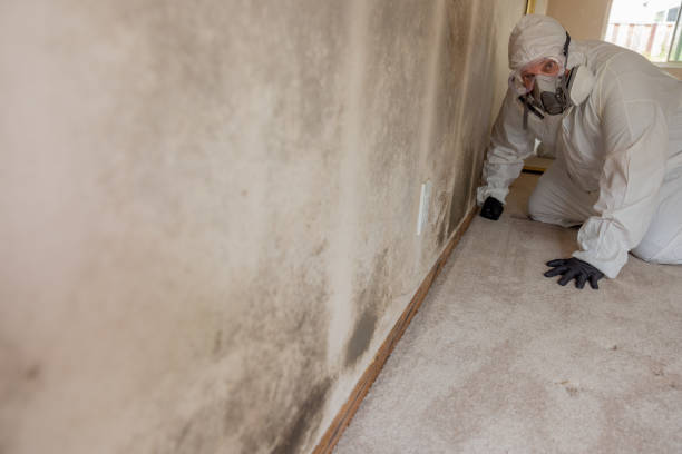 Best Crawl Space Mold Remediation  in Bend, OR
